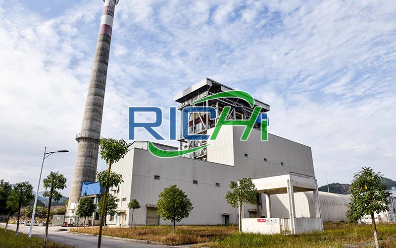 United States High Capacity Fully Automatic 10 Tons/Hour Biomass Wood Pellet Making Line Project