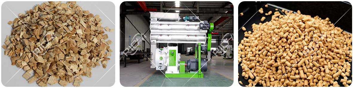 Wood is pressed into cat litter pellets by a pellet machine