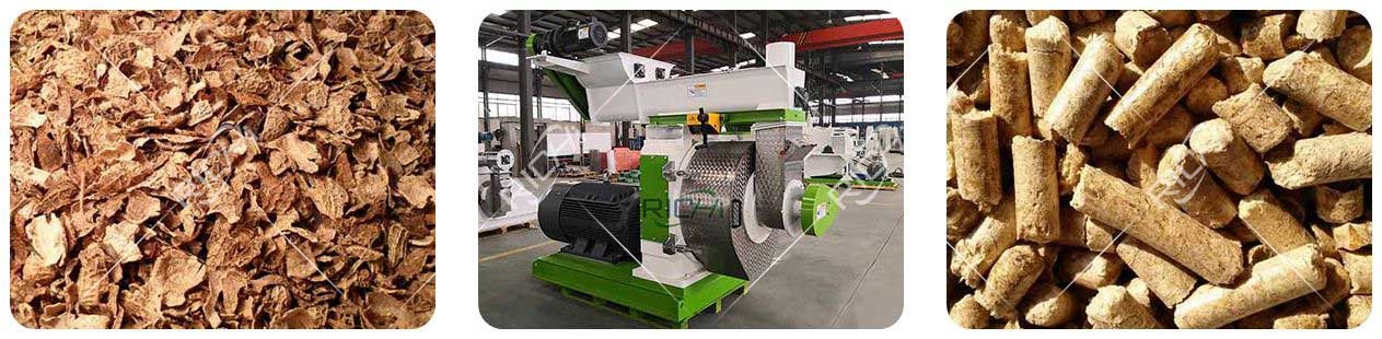 How to Build a Peanut Shell Pellet Mill Production Line