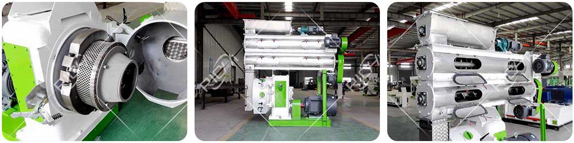 Cat Litter Pellet Mill Details
