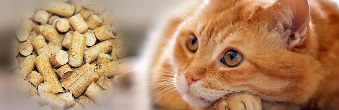 cat litter pellet