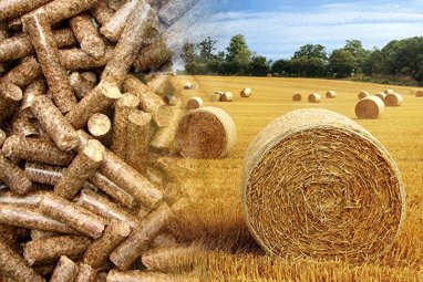 Complete Hay/Grass Pellet Production Line Solution