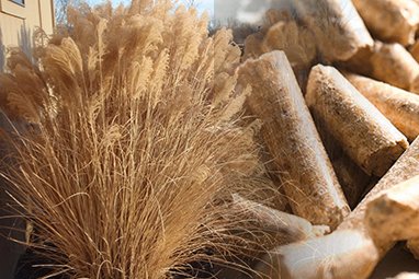Complete Miscanthus Pellet Production Line Solution