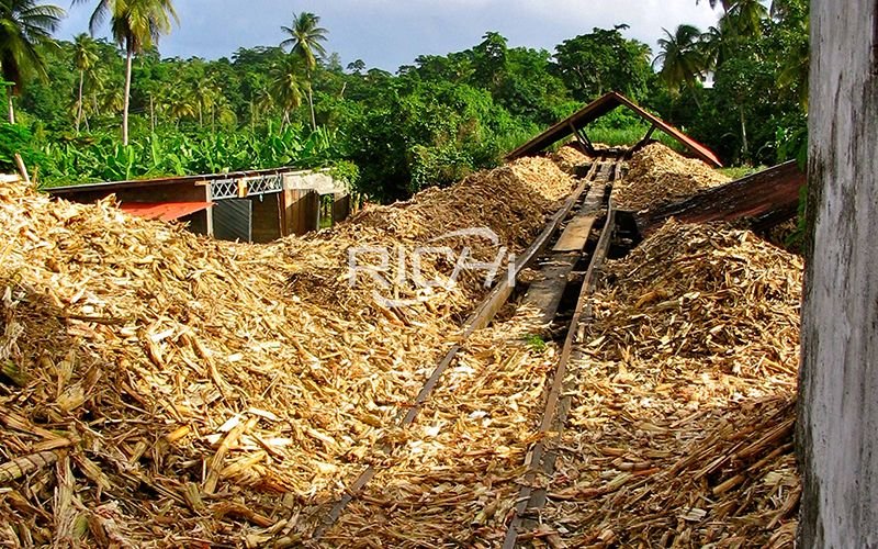 Pellet Machine Converts Bagasse Into Biomass Fuel Pellets