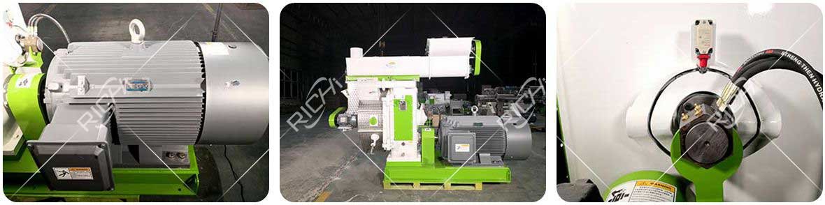 Sugarcane Bagasse Pellet Mill Show Details