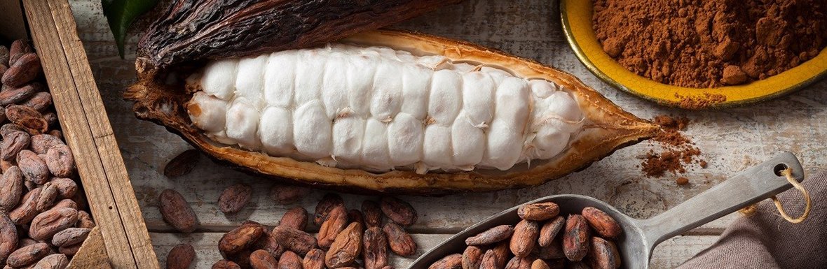 How to build a coffee husk, coffee waste ground, Coffee skin, coffee residues, coffee powder