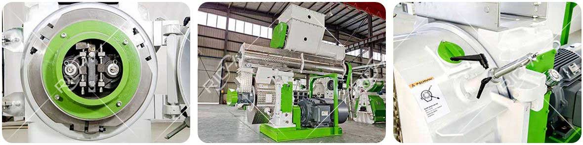 Forage Grass Pellet Machine Details Display