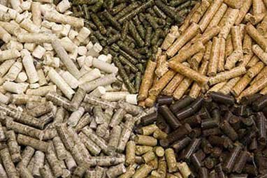Complete Biomass Pellet Production Line Solution