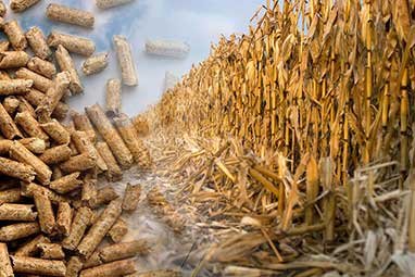 Complete Straw Pellet Production Line Solution