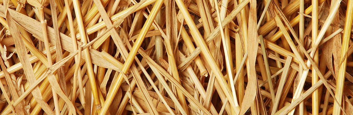 Straw