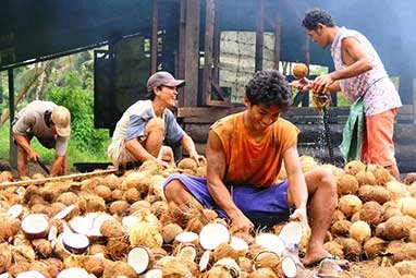 Complete Coconut Shell Pellet Mill Production Line Solution