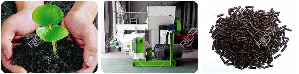 Organic fertilizer is pressed into pellets by a pellet machine