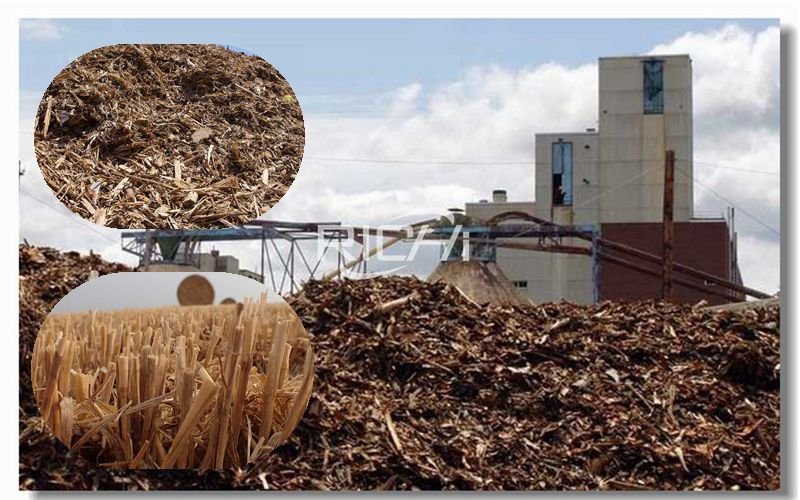 Good Price High Quality 20,000 Tons of Straw Chaff Husk Wood Pellet Production Line Project