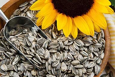 Complete Sunflower Seed Shell Pellet Mill Production Line Solution