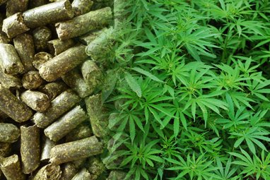 Complete Hemp Pellet Production Line Solution