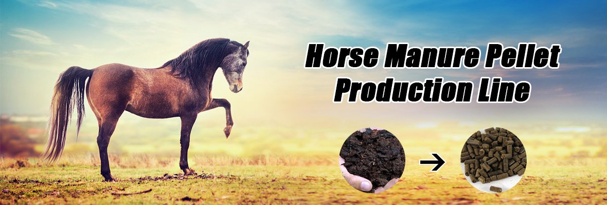 Complete Horse Manure Pellet Production Line Solution
