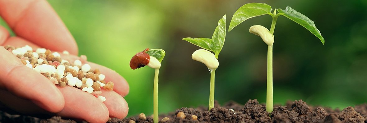 organic fertilizer
