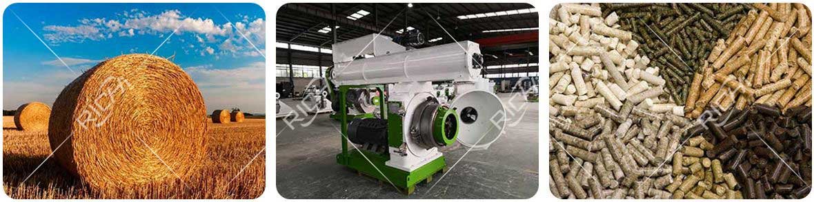 Biomass  is pressed into pellets by a pellet machine