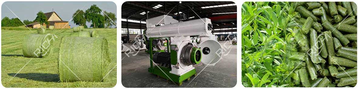 Hay/Grass is pressed into pellets by a pellet machine