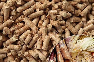 Complete Bagasse Pellet Fuel Production Line Solution