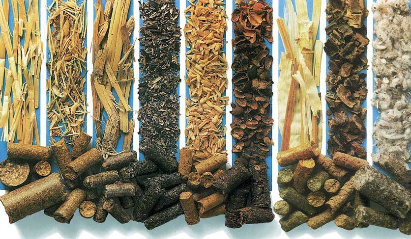 What are the raw materials of biomass