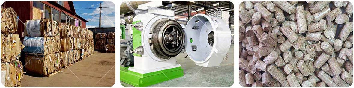 Waste Paper Pellet Machine: How to Make Waste Paper Into Pellets