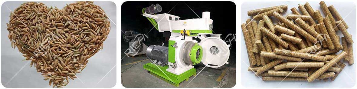 Rice husk is pressed into pellets by a pellet machine