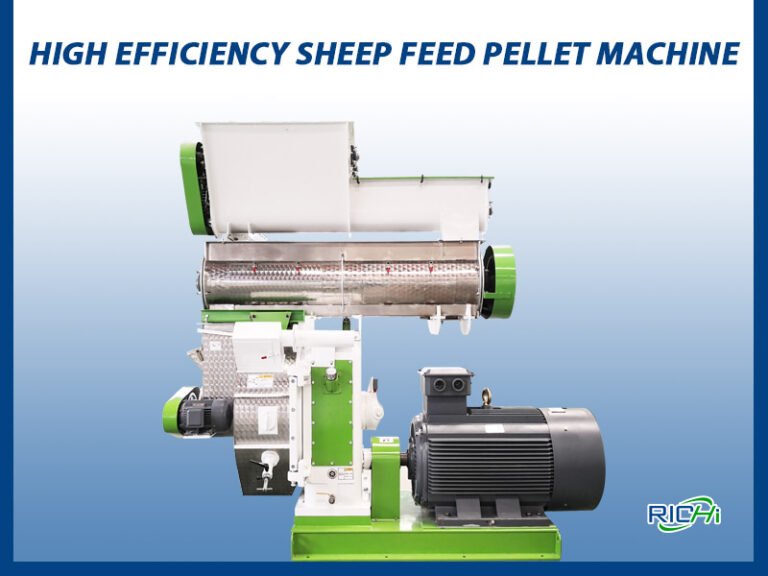 featured image of sheep feed pellet machine